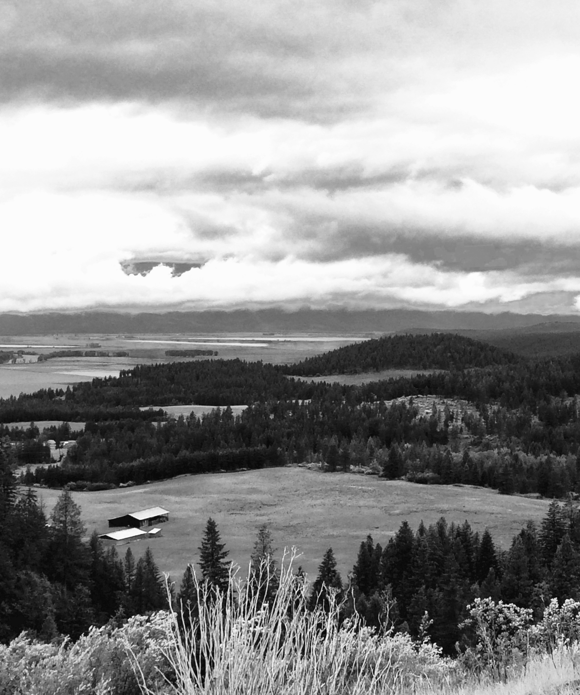 How to remain where God places you when it's difficult - Uncovered Joy